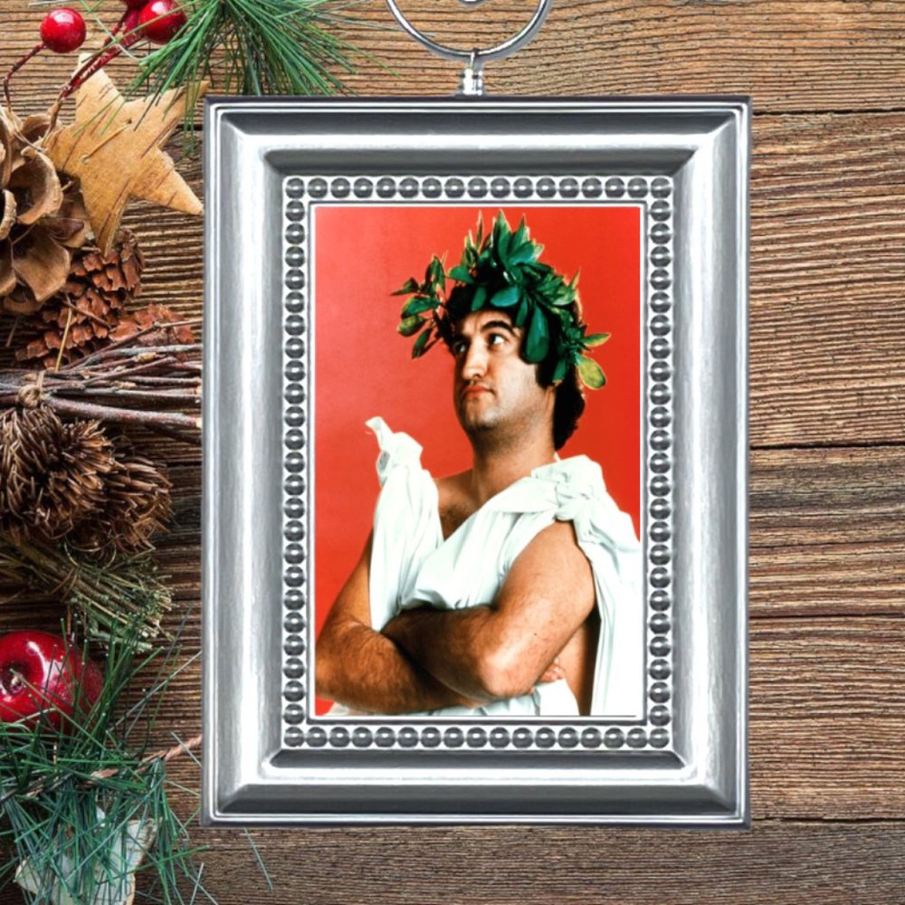National Lampoon's Animal House Retro Movie Memorabilia Christmas Tree Ornament